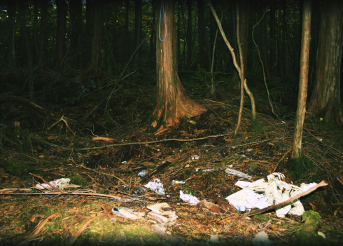 A place in the forest where a noose was found, along with a bag and cut-up credit cards. (Source: http://lookingforalosea.blogspot.com.au/2010/11/aokigahara-forest-suicide-forest-japan.html)